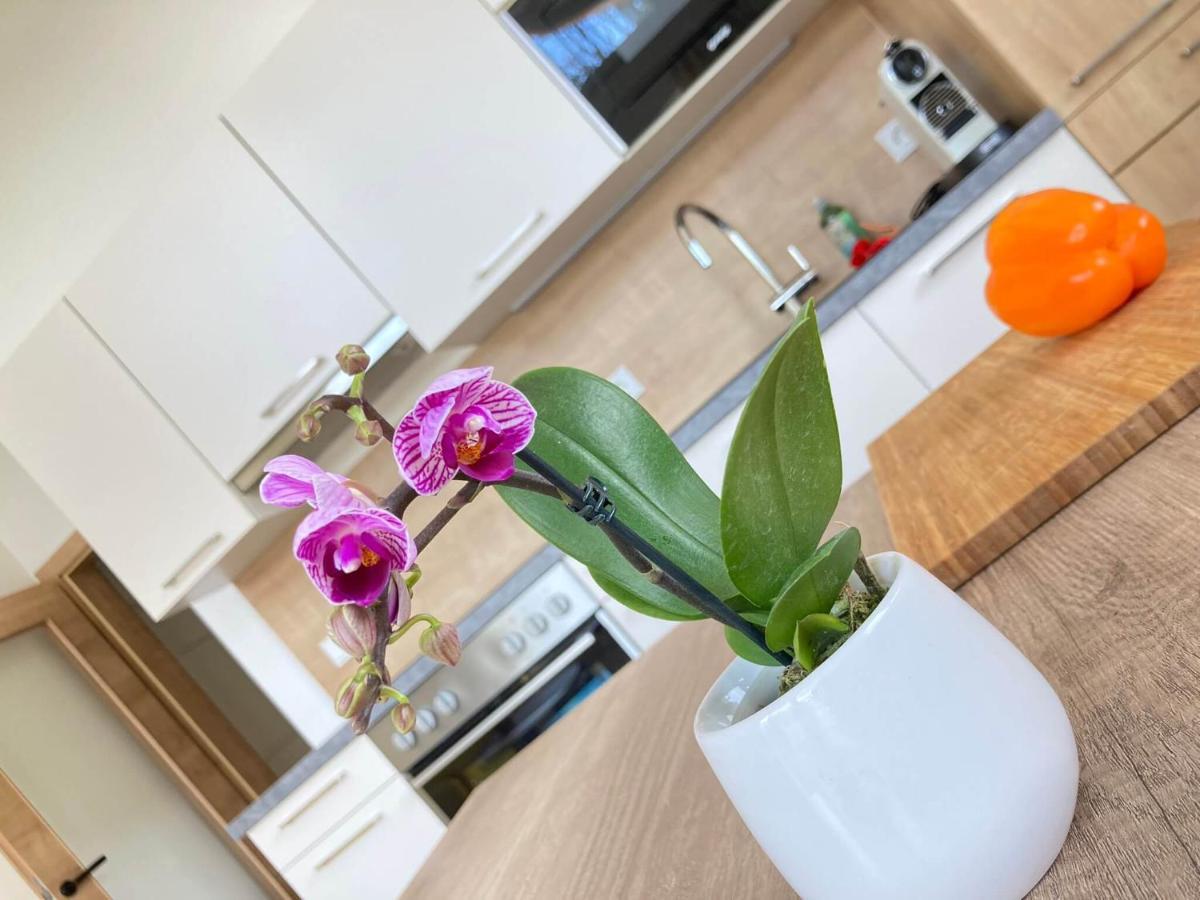 Appartements Blumenwiese Рамзау ам Дахщайн Екстериор снимка
